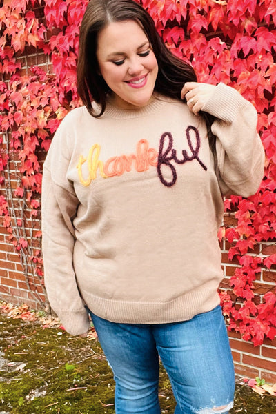 Feeling Thankful Taupe Pop Up Glittery Embroidery Sweater