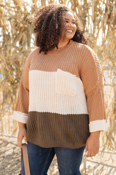 DOORBUSTER Three Times The Color Sweater in Toffee Combo