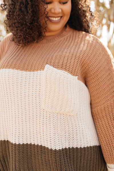 DOORBUSTER Three Times The Color Sweater in Toffee Combo