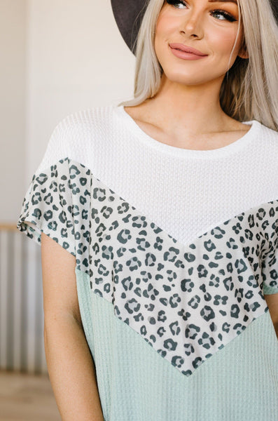 Spotted V Waffle Knit Top